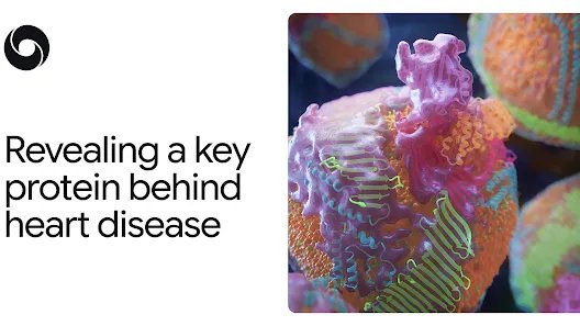 revealing-a-key-protein-behind-heart-disease