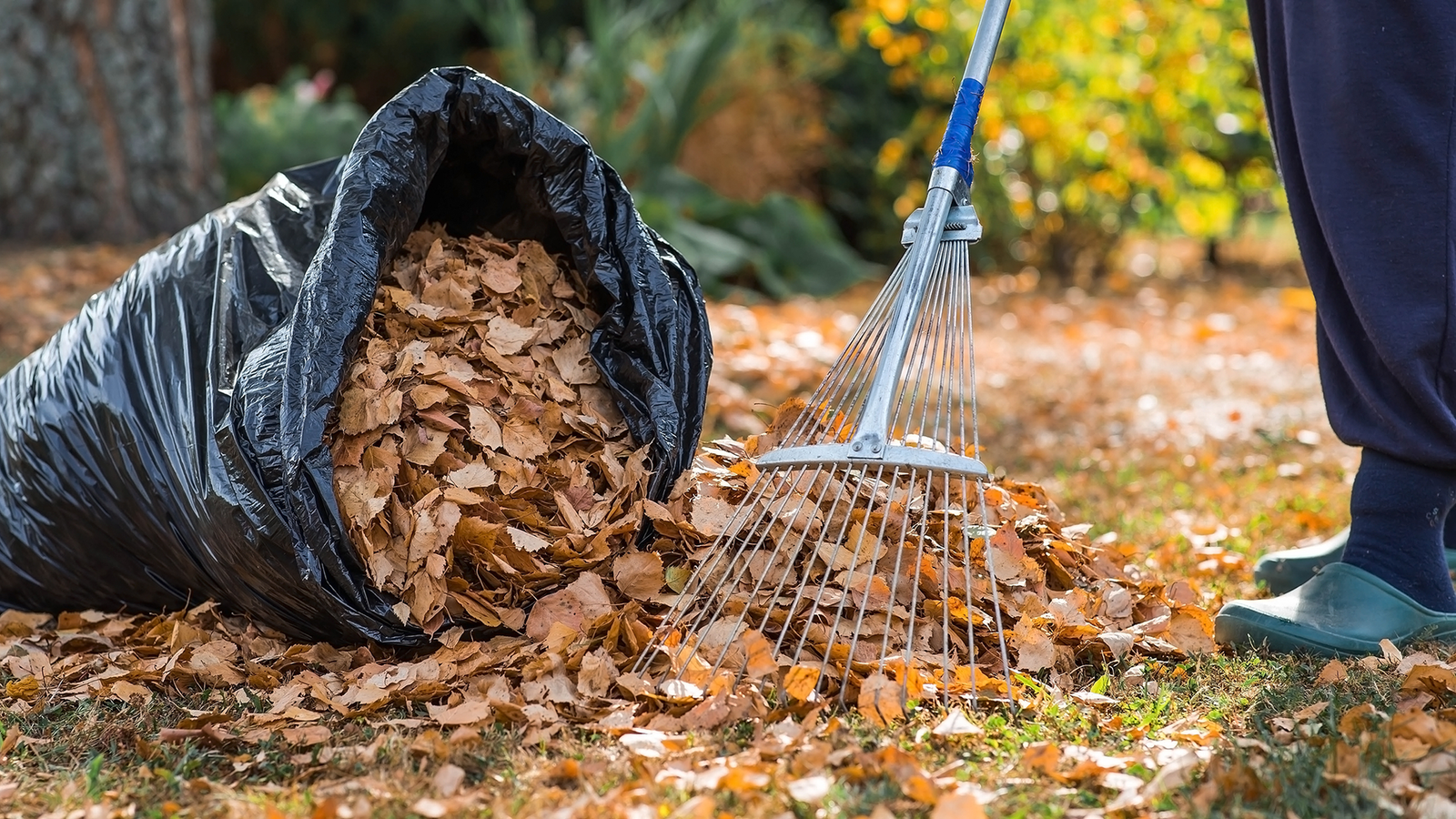 the-fall-lawncare-mistake-you’re-probably-making-—-and-the-secret-to-a-greener-lawn-next-spring