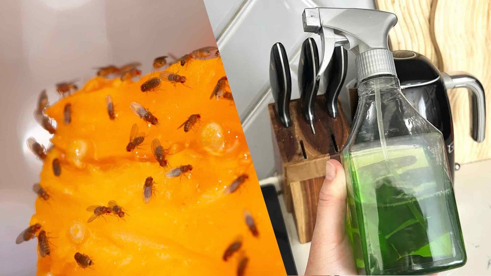 my-kitchen-was-suddenly-swarming-with-fruit-flies-—-this-dish-soap-trick-saved-my-sanity