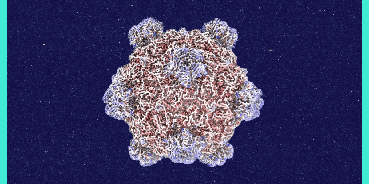 roundtables:-a-conversation-with-the-creator-of-ai-designed-viruses