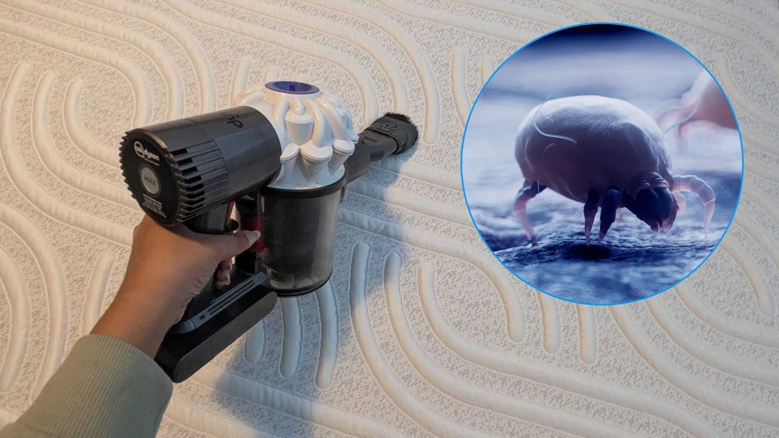 don’t-turn-your-indoor-heating-on-before-vacuuming-your-mattress-—-dust-mite-expert-explains-why