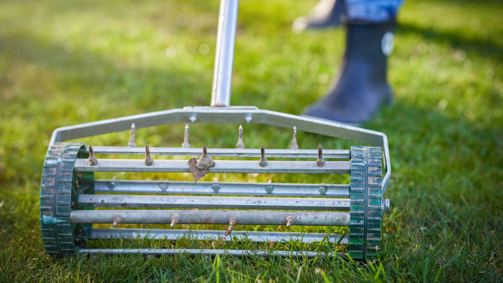 can-i-aerate-a-wet-lawn?-here’s-what-a-grass-expert-says