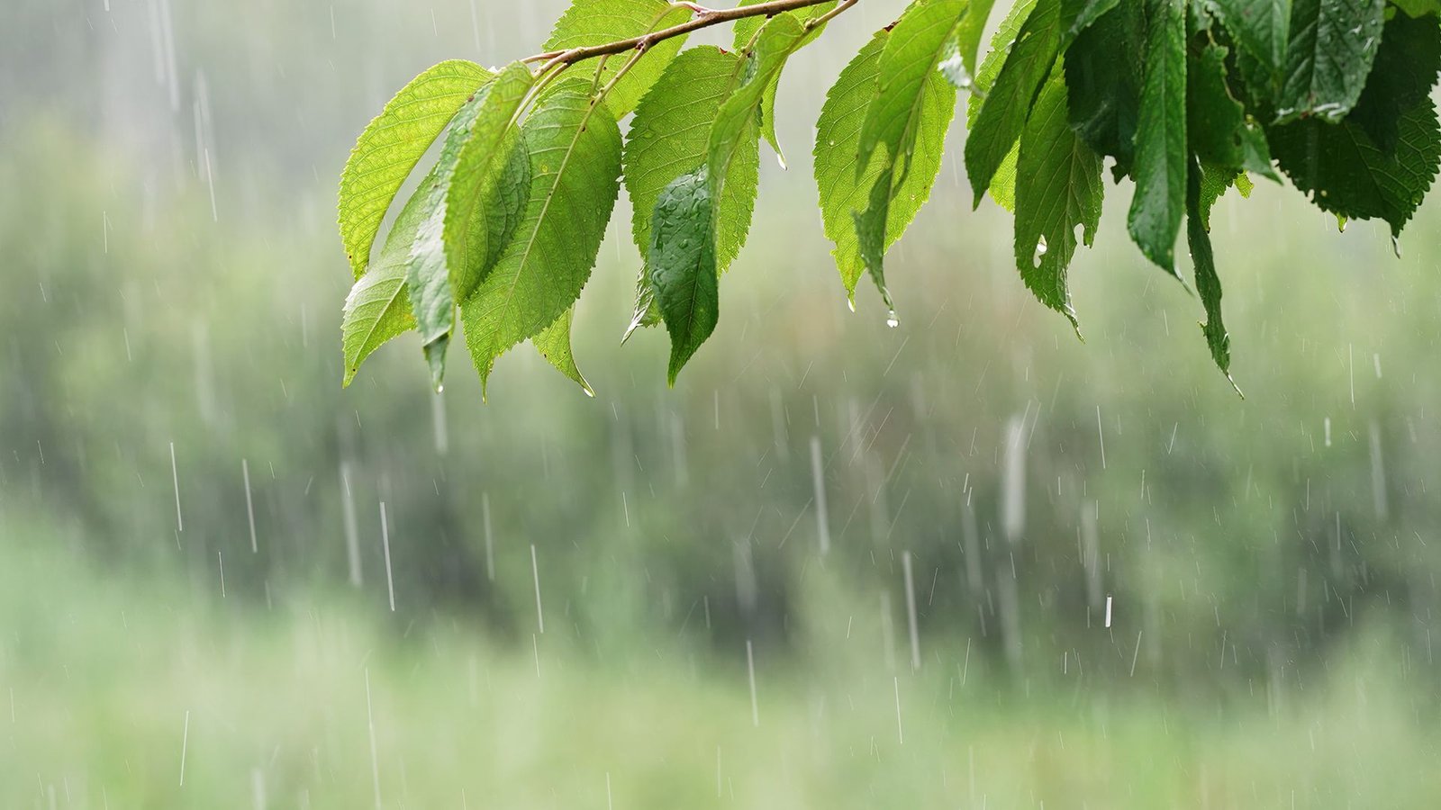 the-5-minute-fall-flood-check-every-homeowner-needs-right-now