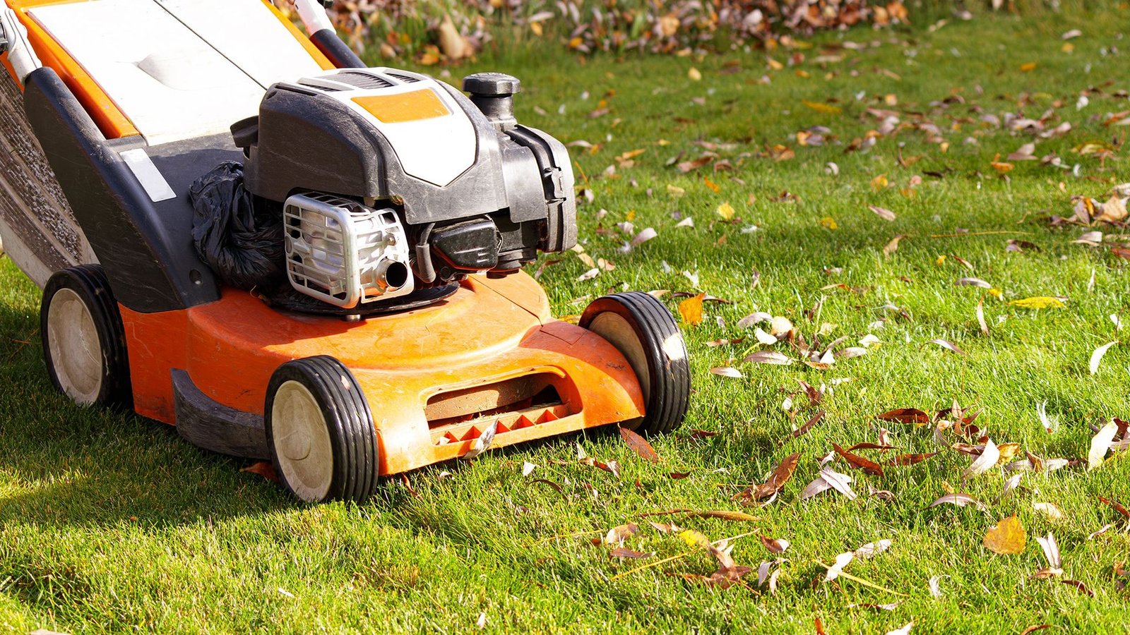 the-fall-mowing-mistake-you-might-be-making-right-now-—-and-what’s-right-for-your-lawn