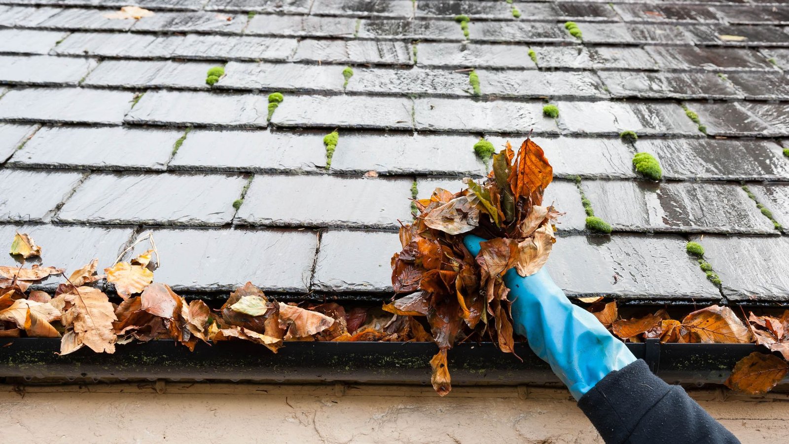 when-to-clean-your-gutters-in-fall-(and-why-doing-it-too-early-backfires)