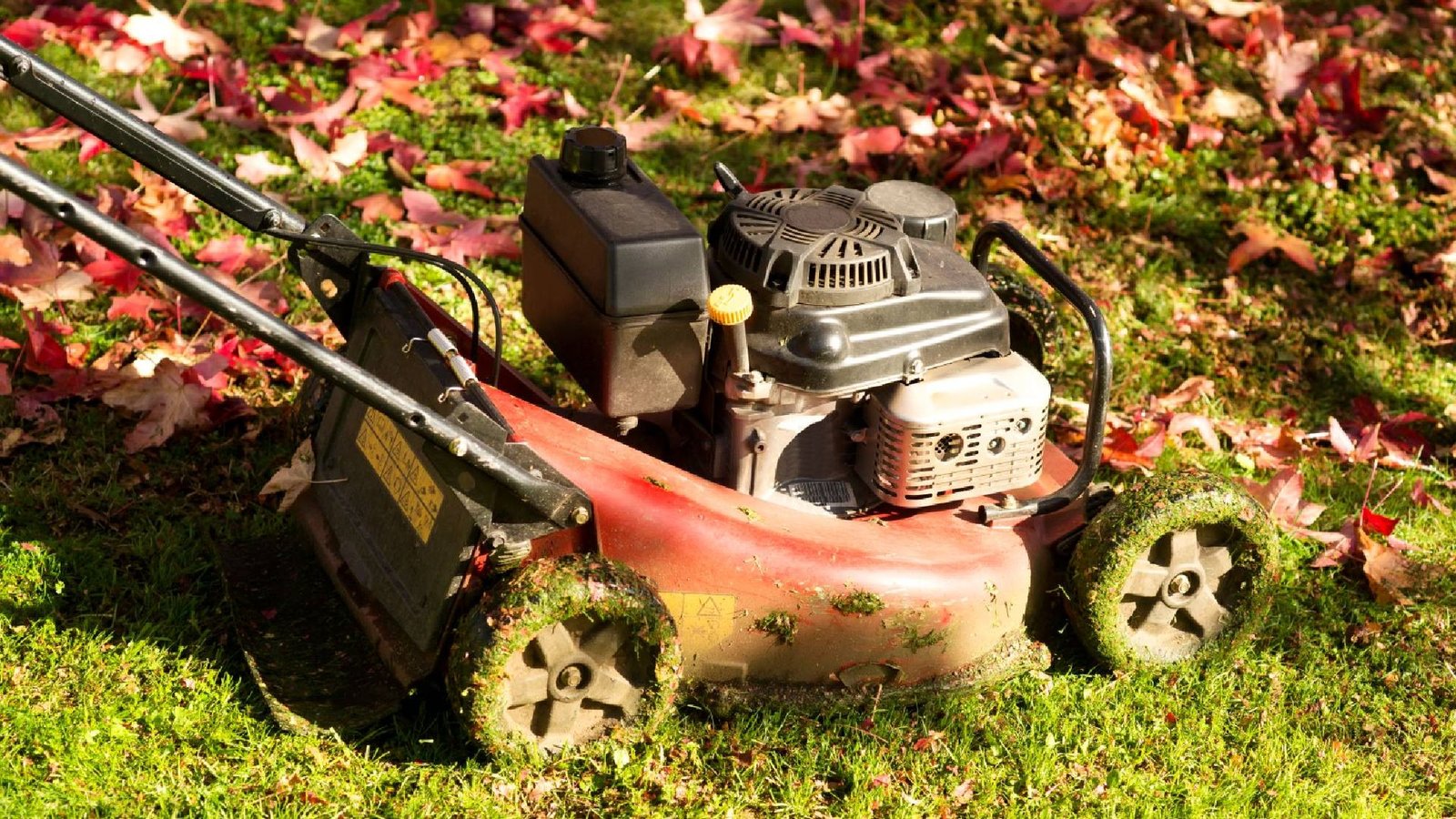 don’t-leave-gas-in-your-lawnmower-this-fall-—-do-this-one-thing-before-temperatures-drop