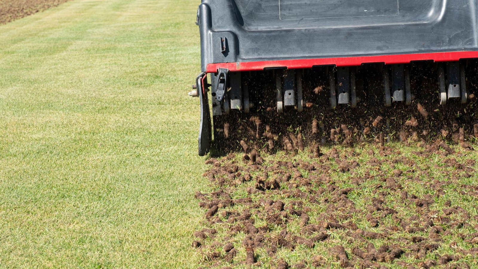 how-can-i-tell-if-my-lawn-is-compacted?-here’s-what-the-garden-experts-say-(and-how-to-fix-it)