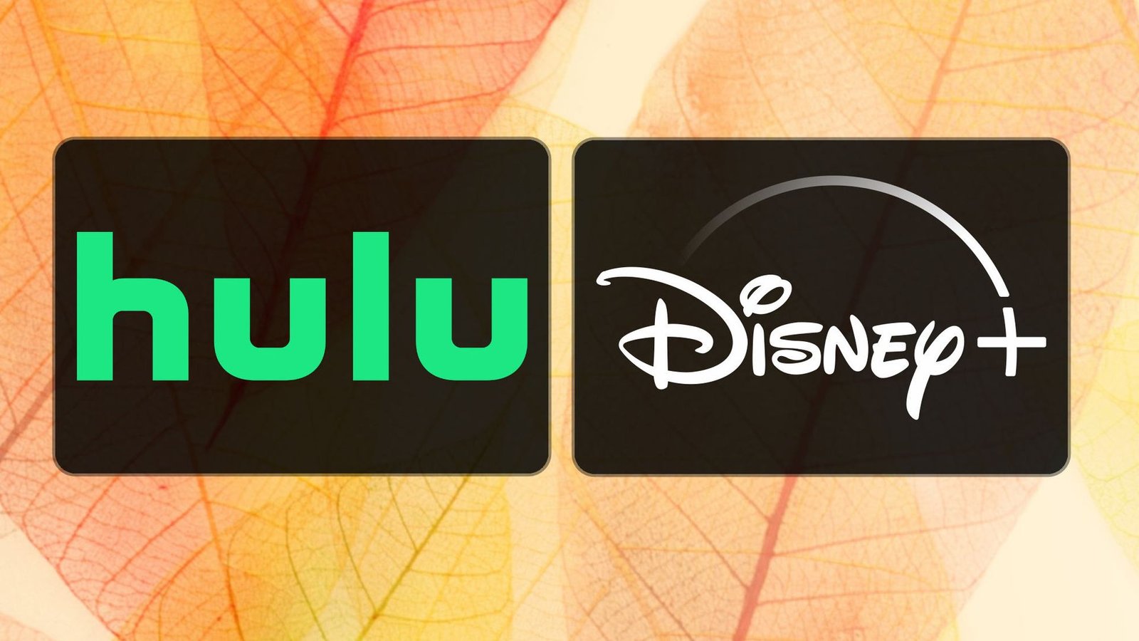 new-on-hulu-and-disney+-in-november-2026:-all-the-new-shows-and-movies-to-watch