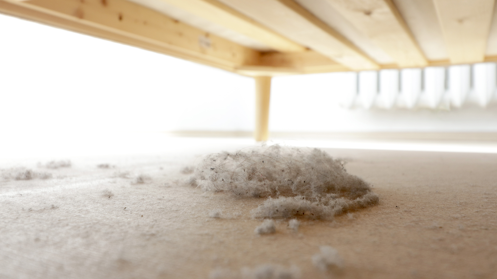 i-couldn’t-stop-sneezing-in-my-bedroom-—-until-i-found-these-5-hidden-dust-traps